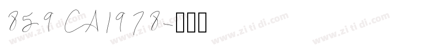 859 CA1978字体转换